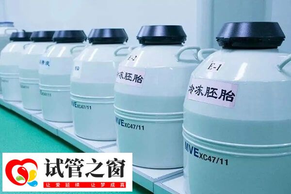 试管冷冻胚胎多少钱一管(图1) 胚胎冷冻的收费标准因地区和医院而异