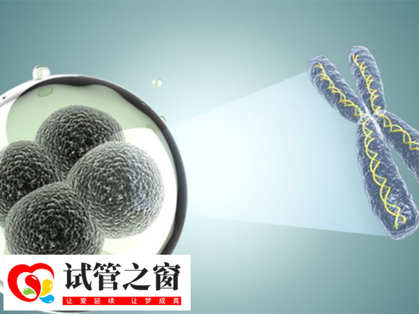 女性内膜13b是否可以移植囊胚胚胎(图1) 子宫内膜13b不建议移植囊胚