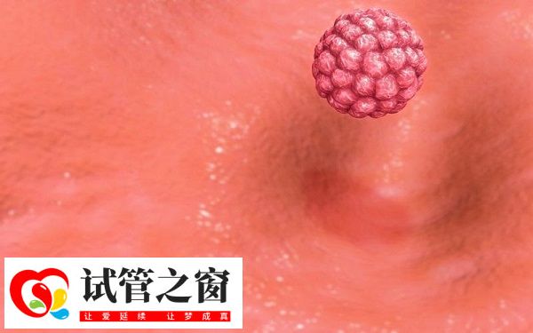 女性内膜13b是否可以移植囊胚胚胎(图2) 内膜通常需要在7-13mm之间进行囊胚移植