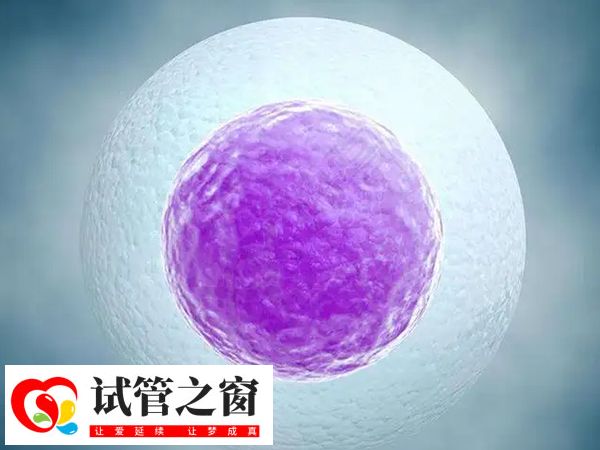 试管婴儿fet移植成功率是多少(图2) 试管fet移植是移植冻胚
