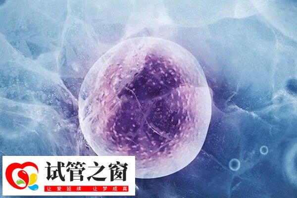 做试管需要什么时候去医院(图2) 做试管婴儿去医院次数并不频繁