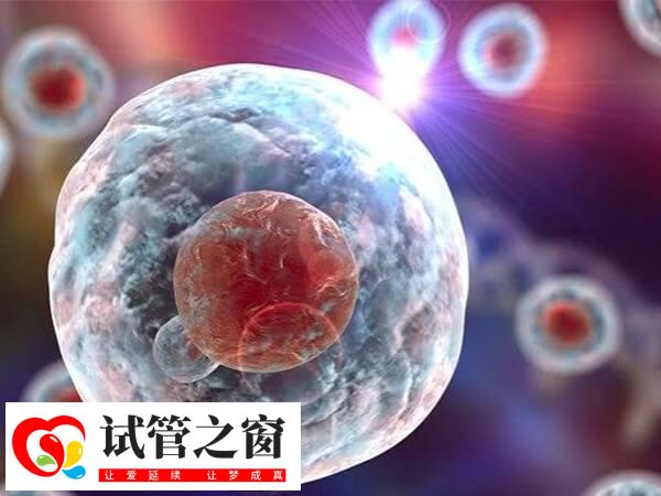 移植囊胚没着床多久来月经(图2) 胚胎的发育潜力和质量会影响着床成功率