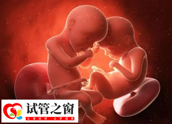 前往泰国做试管多胎妊娠的风险(图3) 试管多胎妊娠可能会胎停