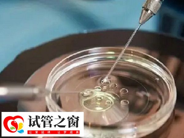 试管为什么要攒胚胎(图1) 试管治疗的成功率并非100%