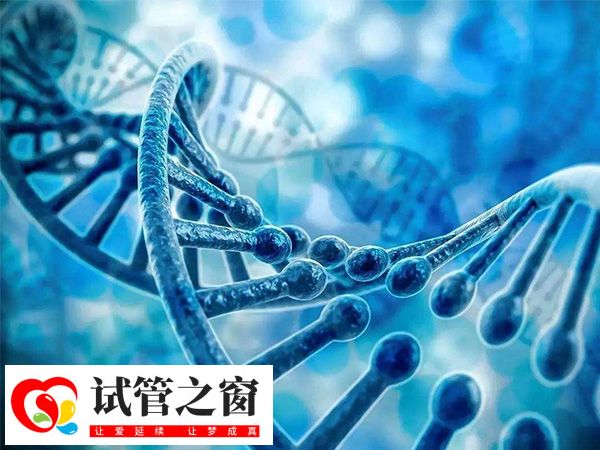 囊胚基因筛查需要几天(图1) 三代试管筛查要10-20天