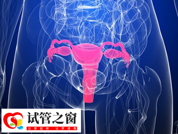在泰国做三代试管PGS筛查的含义