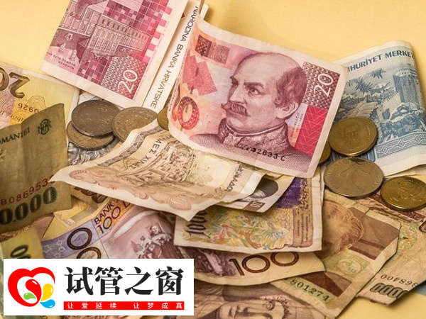 黄冈三代试管胚胎筛查项目(图1) 胚胎筛查费用一般在2-5万元