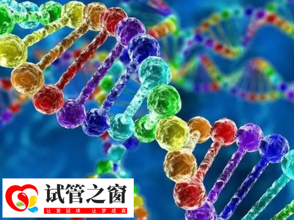 黄冈三代试管胚胎筛查项目(图2) PGT-A对胚胎进行23对染色体非整倍体检测