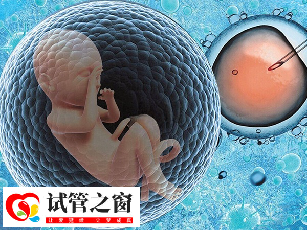 安徽淮南供卵试管医院哪家好(图1) 淮南市中心医院可以做供卵试管