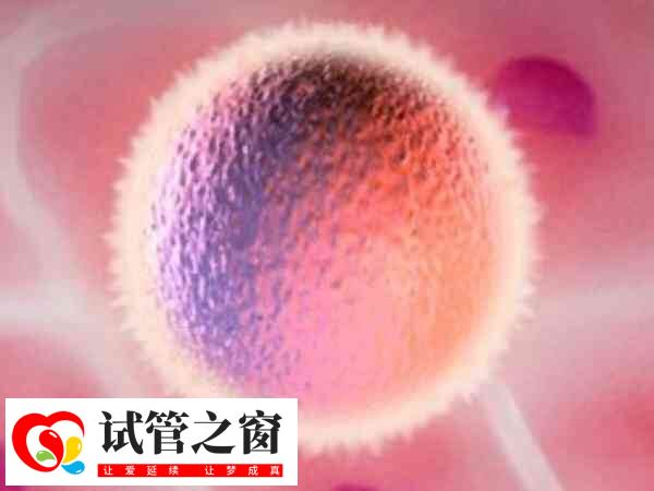 兴义市人民医院生殖中心做试管婴儿的流程是怎样的？