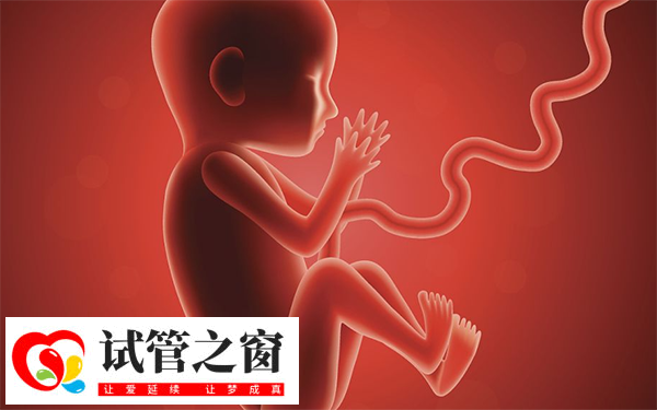 试管胚胎移植做二超能不能转产科(图1) 检查二超显示胎儿发育正常可以毕业