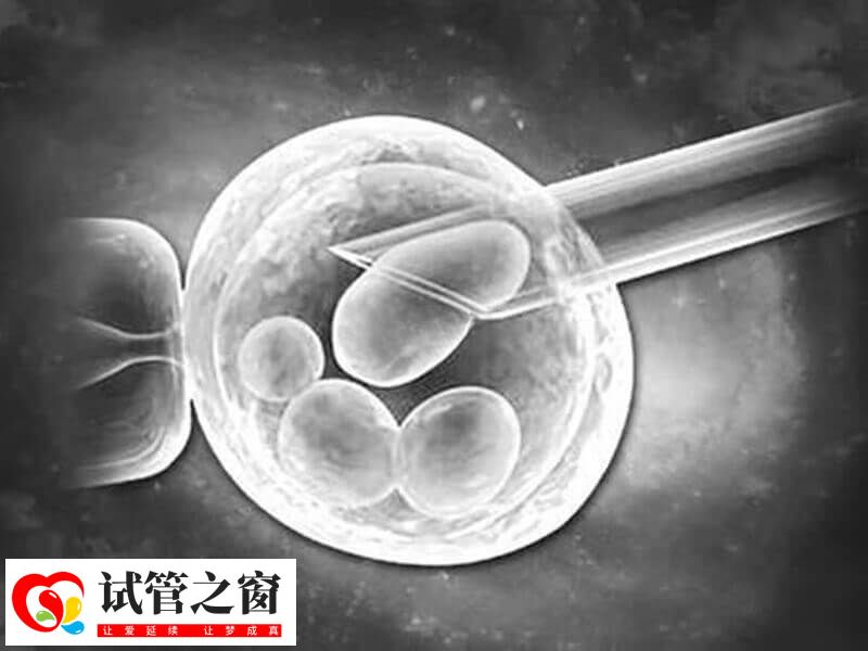 取卵后没出血吃不吃药了(图2) 取卵后要注意多休息