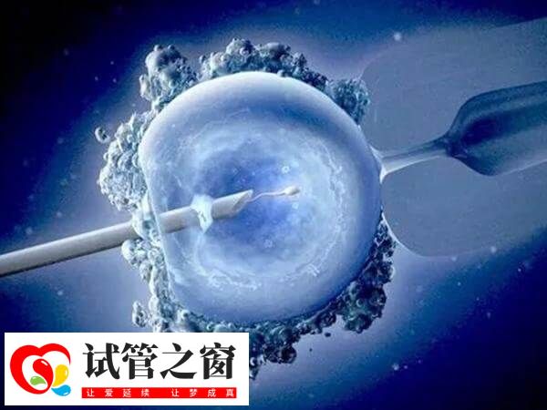 移植胚胎着床后拉肚子怎么回事(图1) 胚胎移植后拉肚子可能是药物作用