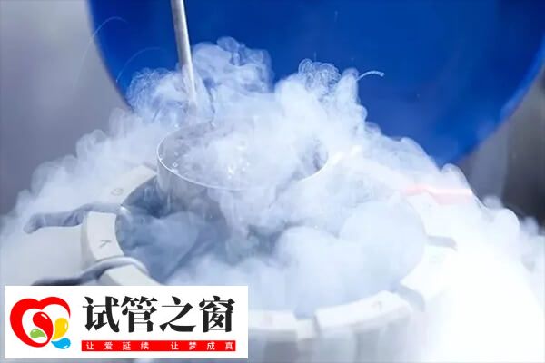 为什么冻胚移植成功率高(图1) 冻胚移植可有更多时间调整内膜