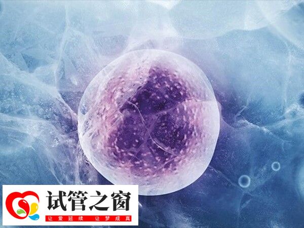 为什么冻胚移植成功率高(图2) 冻胚移植成功率约40%-50%不等