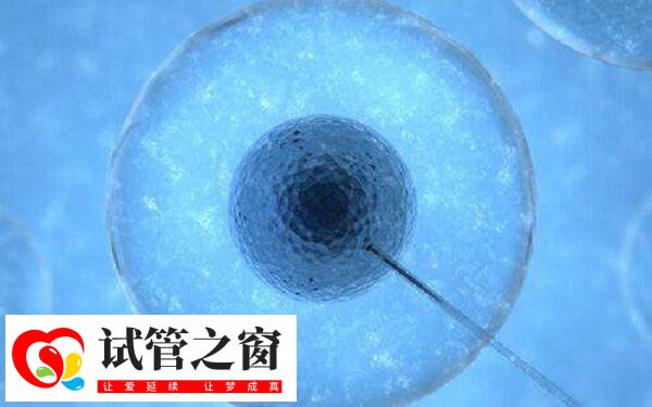 如何提高养囊成功率(图1) 囊胚等级越高质量越好