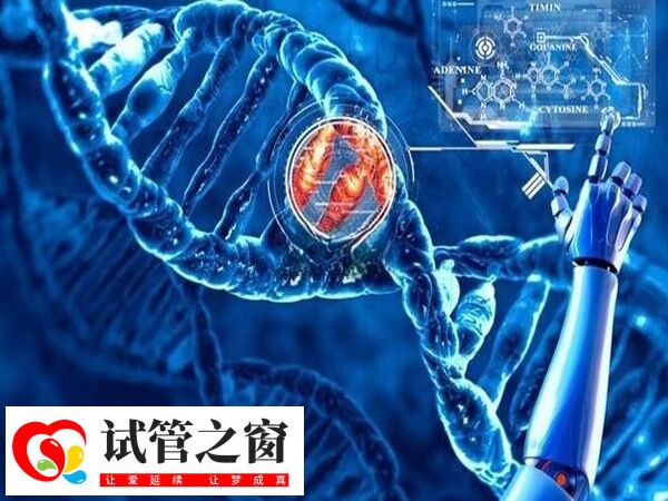 三代试管囊胚基因检测需要几天