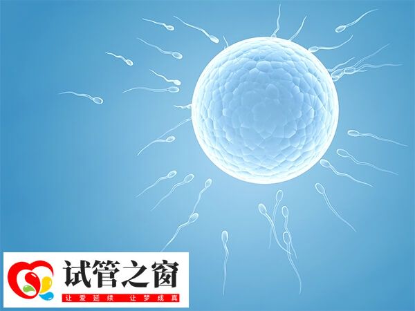 囊胚移植16天阴道出血怎么回事(图1) 囊胚移植后出血要警惕宫外孕