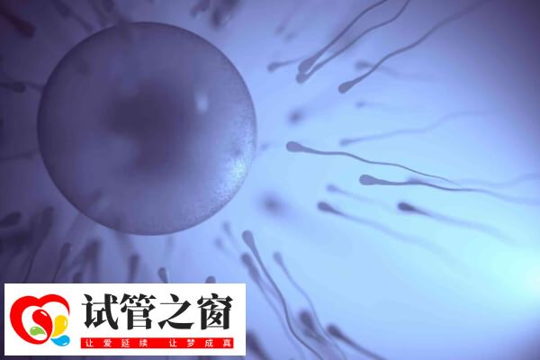 4bc囊胚解冻后是升级还是降级(图1) 4bc囊胚解冻后通常仍然是4bc囊胚