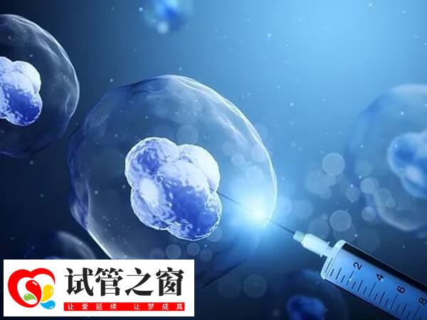 4bc囊胚解冻后是升级还是降级(图2) 囊胚解冻后可能升级