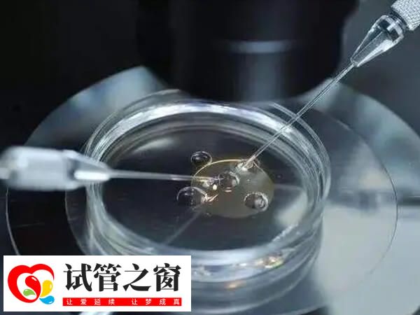 试管婴儿是怎么培育出小孩的?是在试管里面长大的吗?(图1) 试管婴儿就是将精子和卵子拿到体外结合