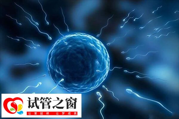 打降调后多久能宫腔灌注(图2) 宫腔灌注是一种常见的辅助生殖技术