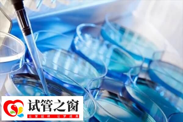 染色体平衡异位做三代试管怎么样