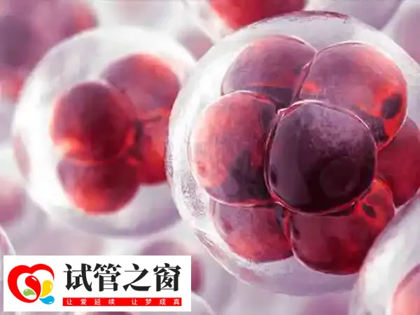 染色体平衡异位做三代试管怎么样(图2) 三代试管并不能保证100%的成功