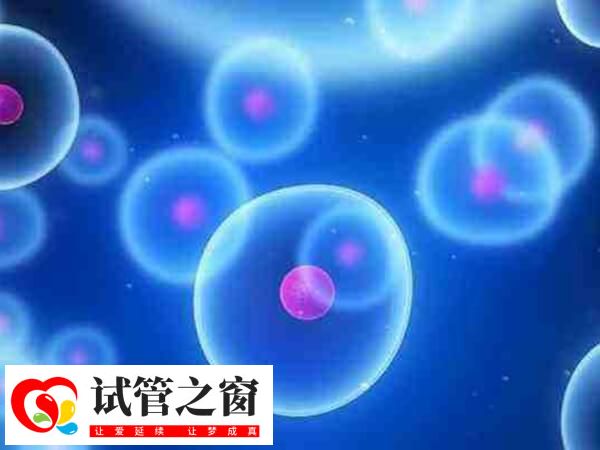 卵泡没排能不能移植冻胚