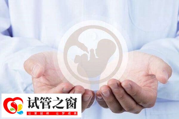 取卵后多久可以移植(图1) 取卵后三天可进行鲜胚移植