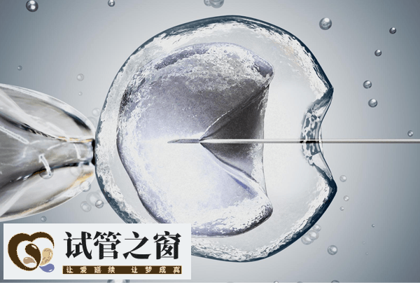 人工授精的详细步骤预览，促排卵阶段通常是这样的！