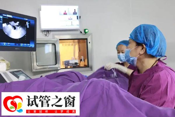 试管不降调促排能不能移植鲜胚揭秘，附不降调促排移植流程