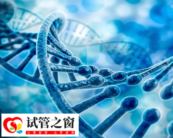 运城染色体异常供卵时间分析，要等多久还得看卵源情况