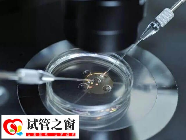 试管移植后身体会有什么反应