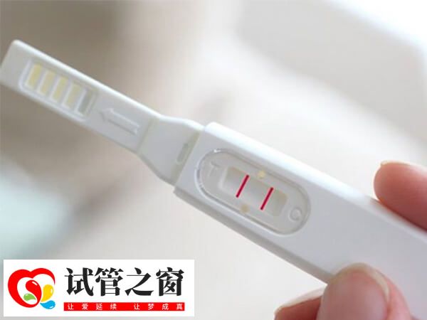 试管移植后10天验出怀孕