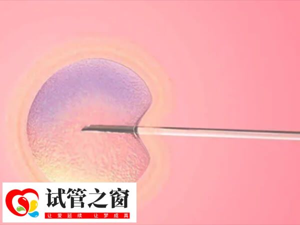 试管移植之后体内激素水平会出现变化