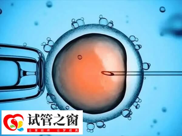 胚胎移植后发烧会不会影响着床