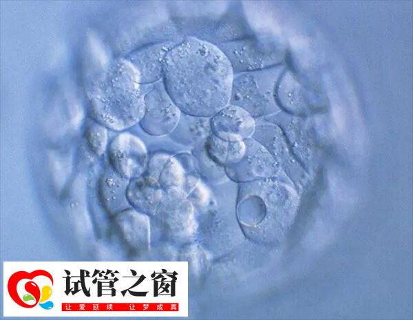 孕酮水平越高胚胎的落床率就越高