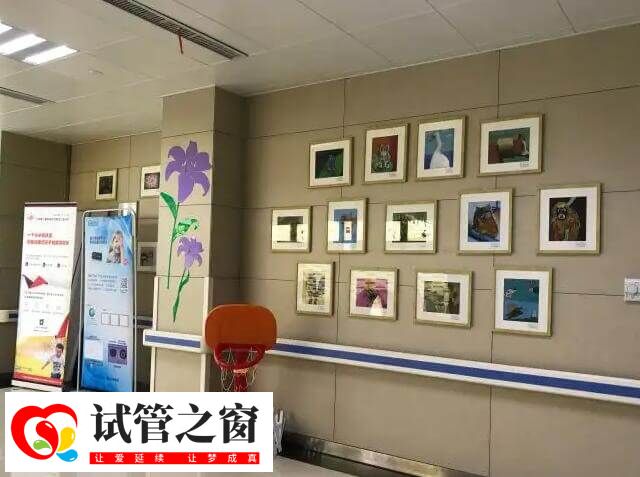 宁波试管医院有哪些用参考(图2) 解放军第906医院试管成功率40%-56%