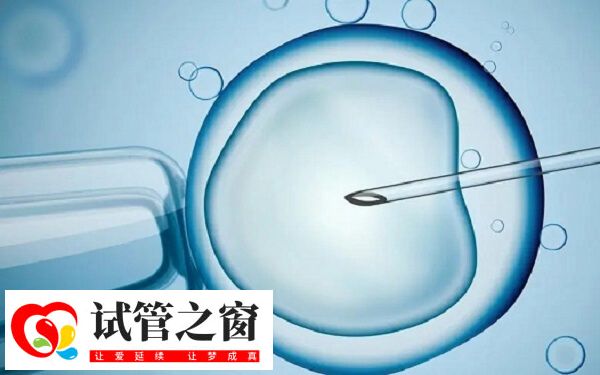 长沙试管包成功医院有哪些助孕费用及成功率参考)(图1) 中信湘雅试管成功率高