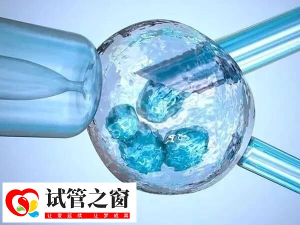 长沙试管包成功医院有哪些助孕费用及成功率参考)(图3) 试管婴儿成功率不是百分百