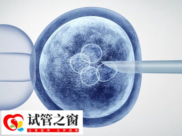 郑州试管包成功医院(图2) 郑大一附医试管妊娠率稳定在50%