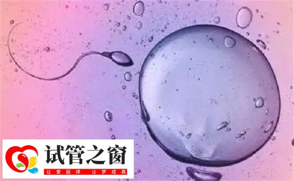 黄体期促排卵方案移植成功案例多吗?(图1) 黄体期促排方案成功率还是不错的