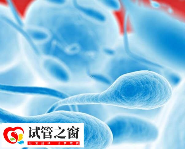 精子dna碎片分析怎么看(图1) DFI是评估精子质量和生育能力的关键参数