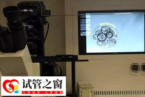 胚胎三级为什么建议养囊(图1) 胚胎养囊这是胚胎筛选的过程