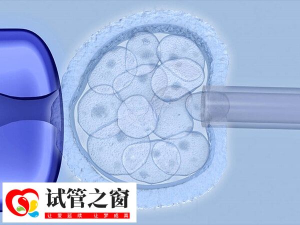 三级胚胎养囊好还是冷冻好(图1) 三级胚胎也有可能发育成囊胚