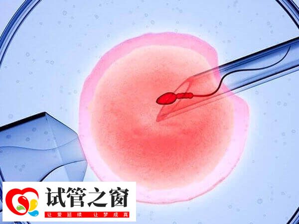 什么是第四代试管婴儿技术(图3) 第四代试管技术研究方向