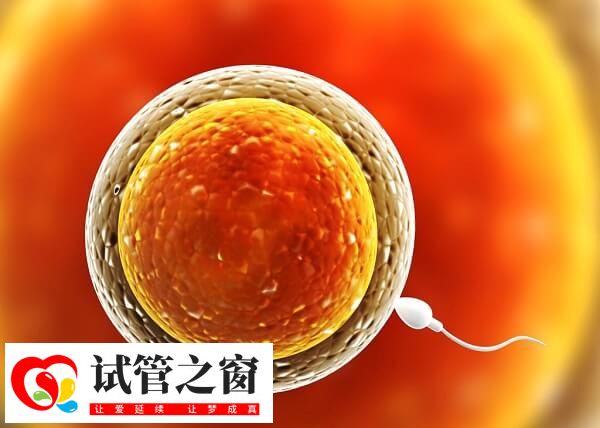 备孕期间有排卵障碍该怎么办(图2) 排卵障碍会影响女性受孕率