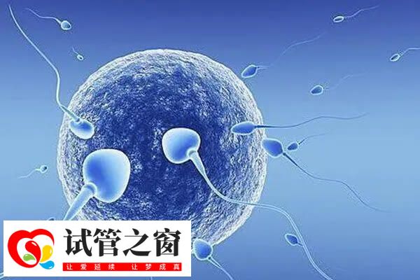 排卵障碍可不可以做人工授精(图1) 排卵障碍患者能做人工授精