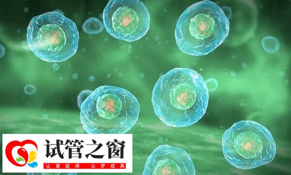 排卵障碍可不可以做人工授精(图2) 促排可诱使排卵障碍患者排卵